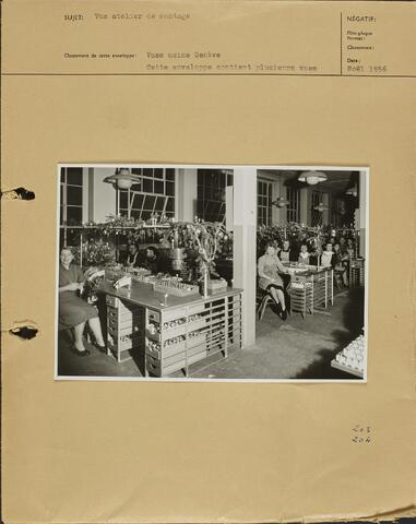Open original Objet numérique